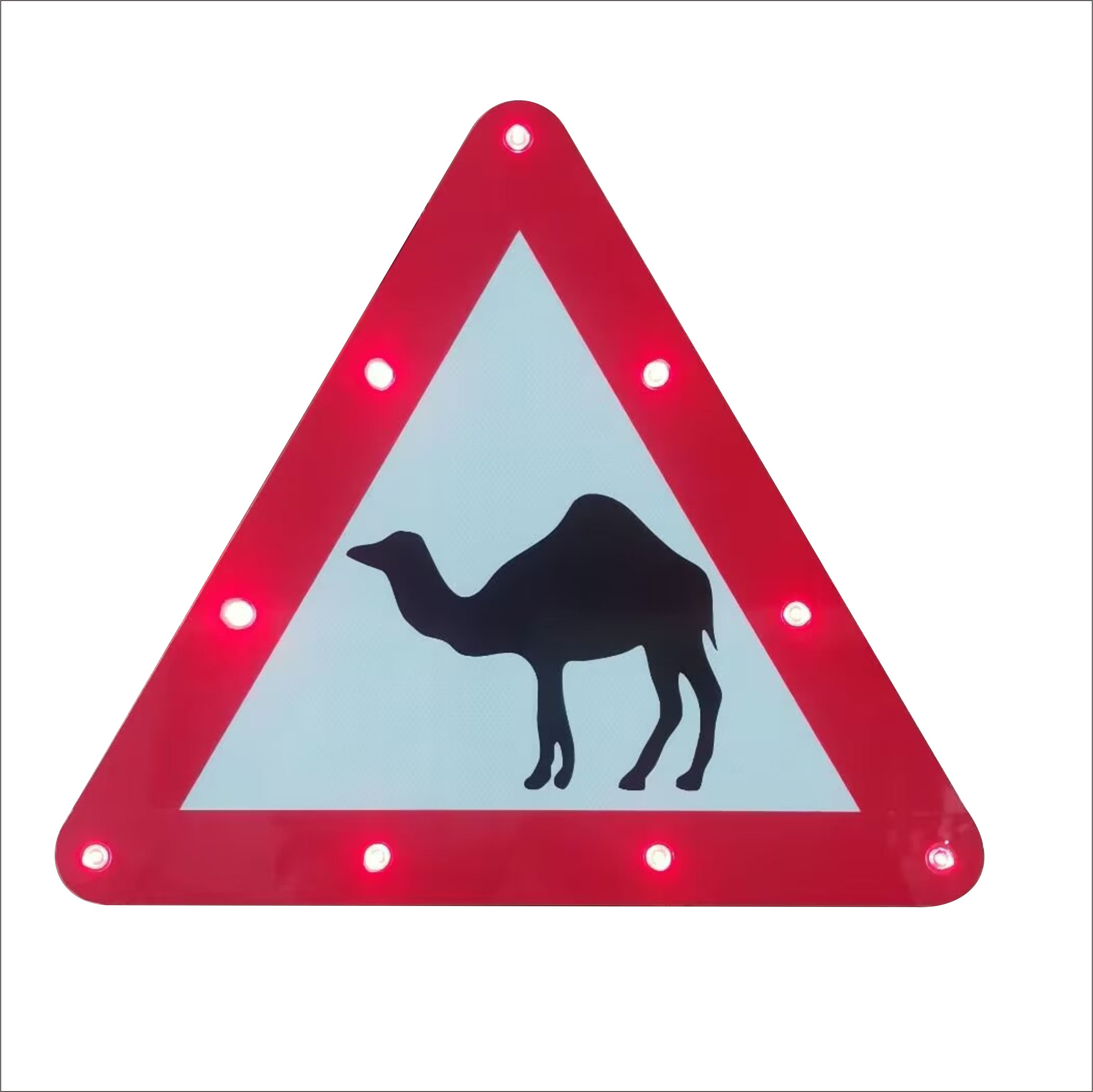 Traffic Illuminated Road Sign